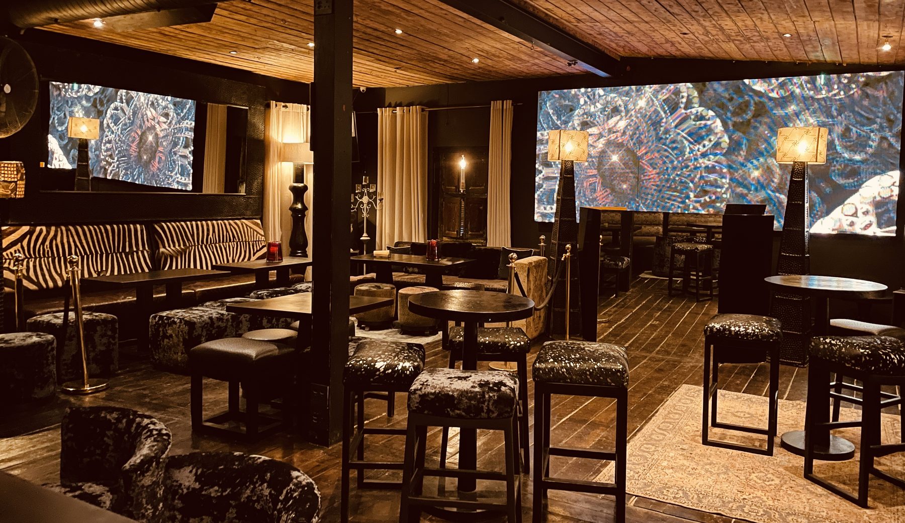 Guests enjoying the night