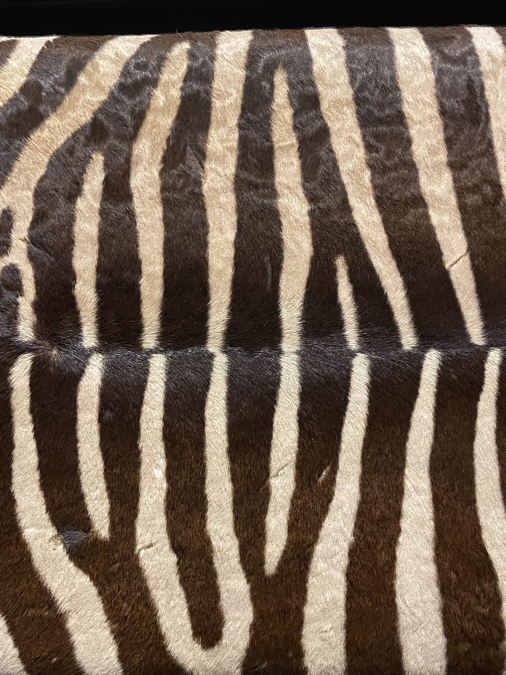 The lounge with zebra banquette and hide stools
